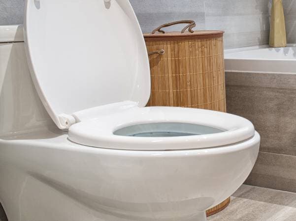 white toilet