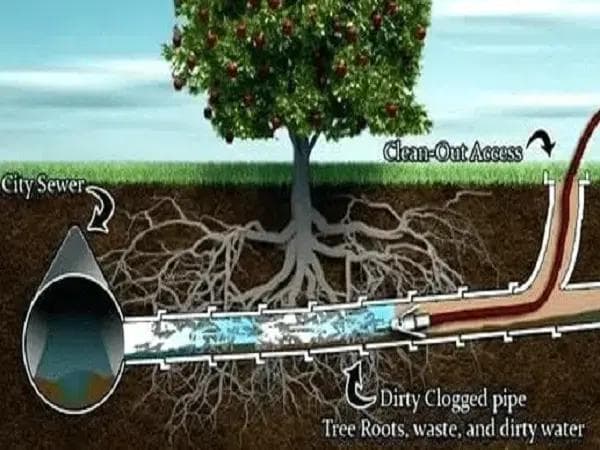 sewer problem illustrations